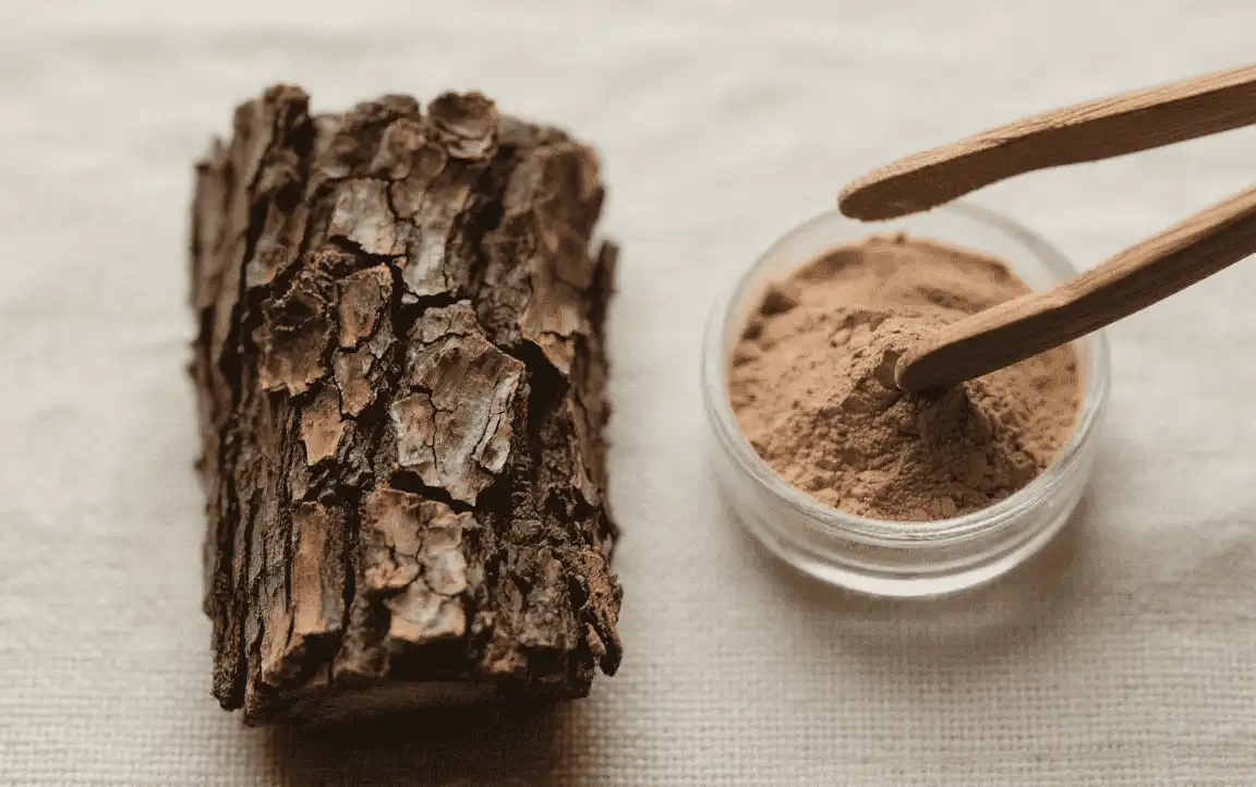 How Pine Bark Extract Powder Supports Cardiovascular Health?